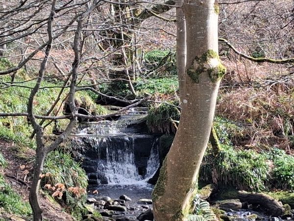 waterfall of Fairlie Burn