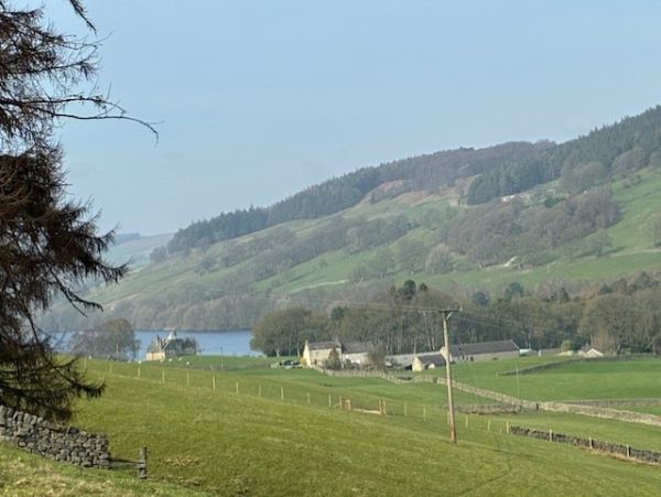 Nidderdale looking towards Gouthwaite Res.