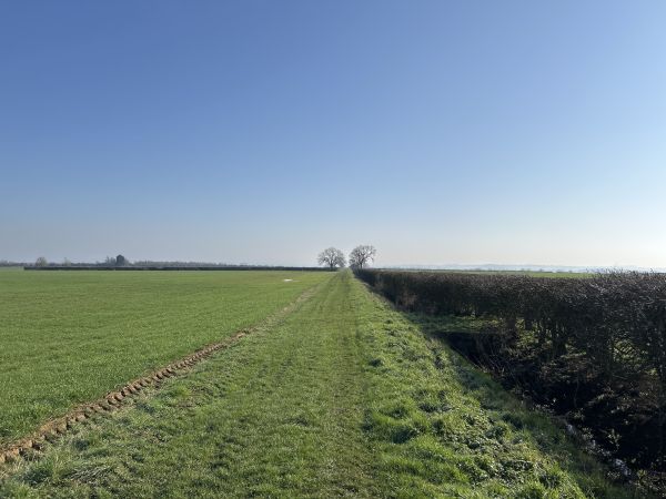 View along the track