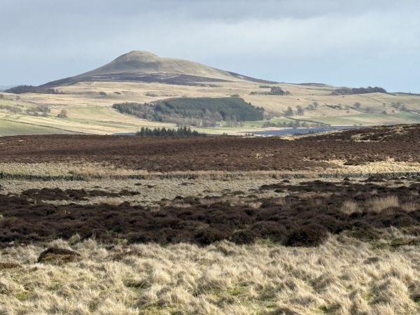 Looking towards East Lomond from Bishop Hill