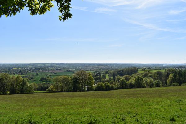 View towards Orleton