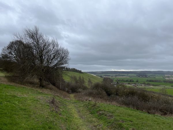 Green hillside with trees and view over countryside