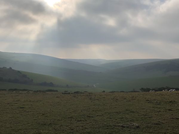 The Downs above Kingston