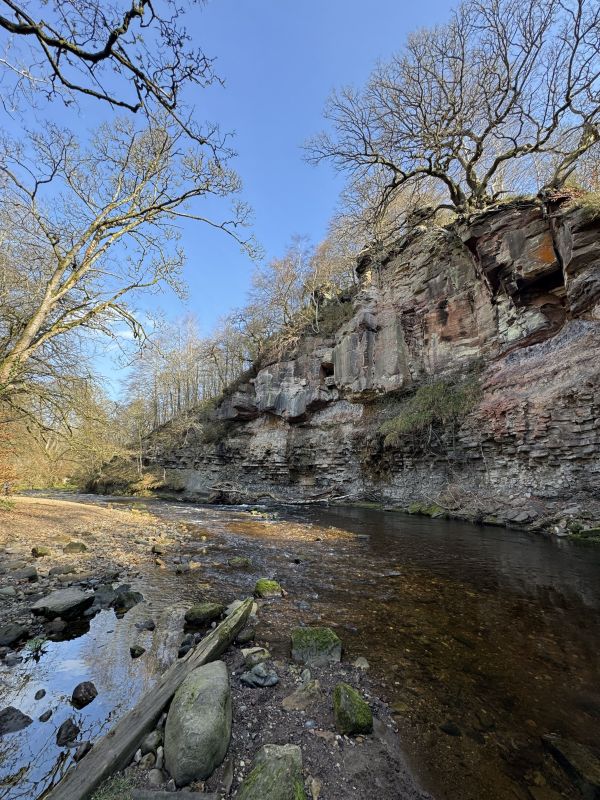 Roslin Glen