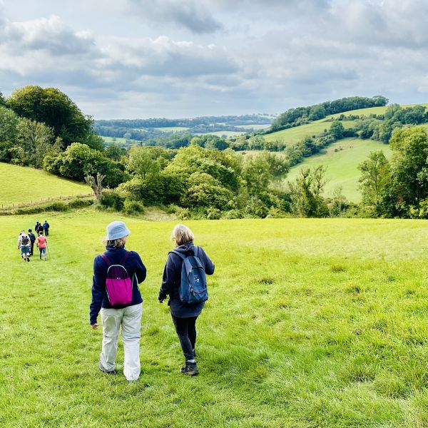 Walking down to Combe Hay