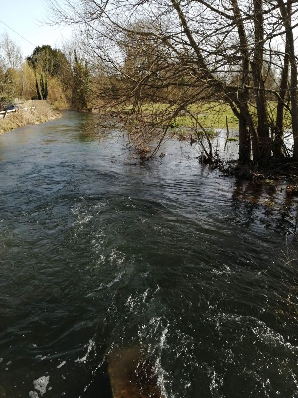 River Meon at Meonstoke