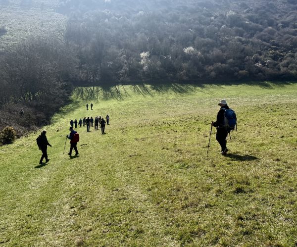 Descending France Bottom
