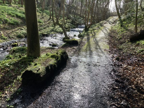 The burn in Castlemilk park