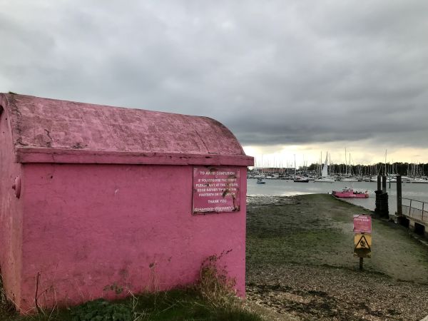 Pink ferry
