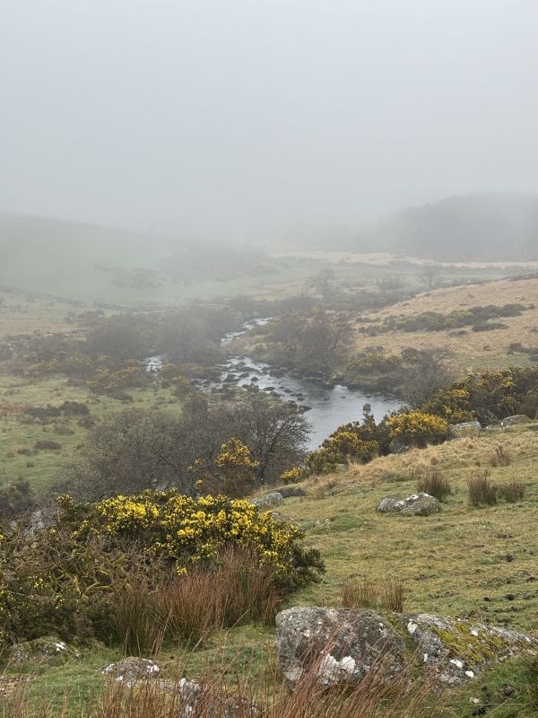 View of the West Dart River in the mist
