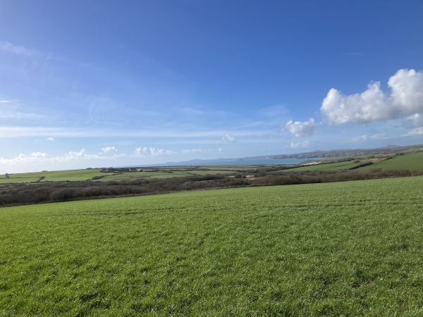 Ramsey & St Brides Bay from Roch