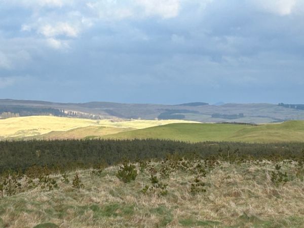 A view from Chapel Hill