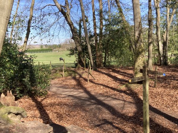 Finger post and view of horses