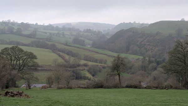 Slightly misty view of green hillside,with trees and hedges