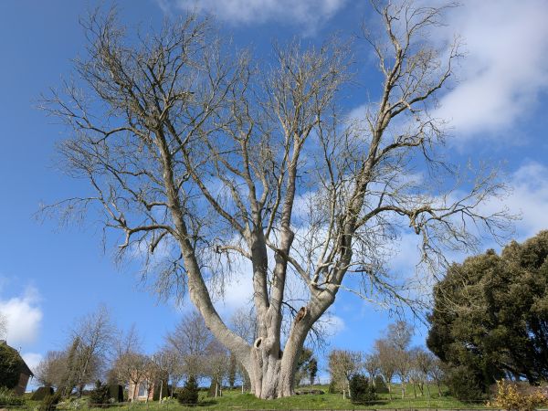 view along the route