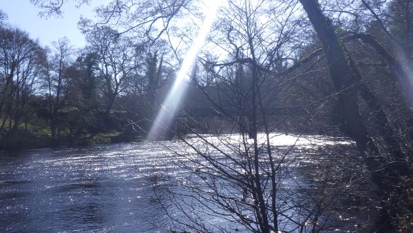 River Tees near Cotherstone