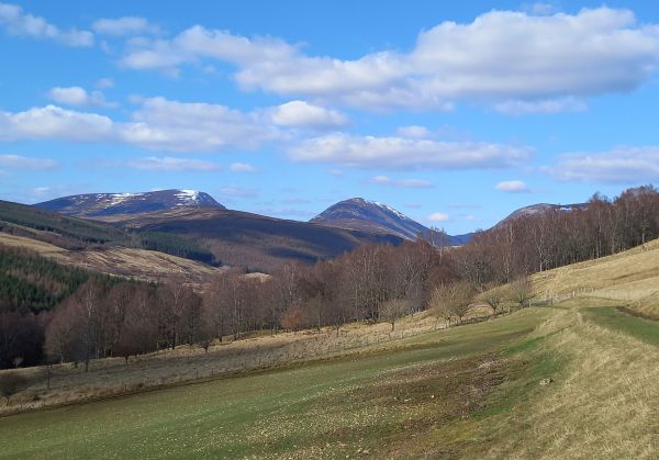 Glen Tilt in March