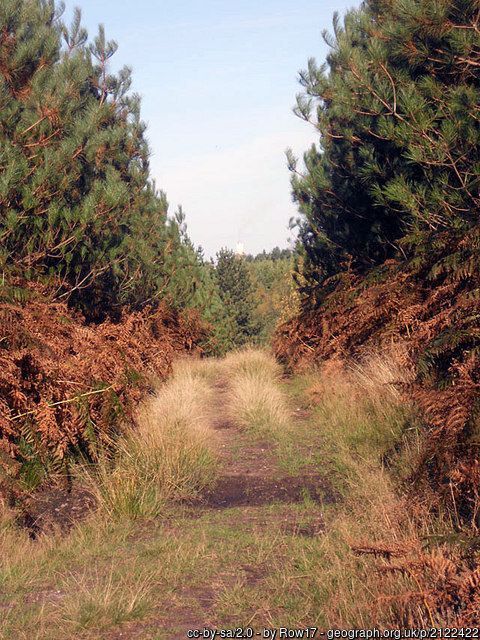 'Thank goodness for a compass and a map', copyright Row17, used under Creative Commons licence v2.0 