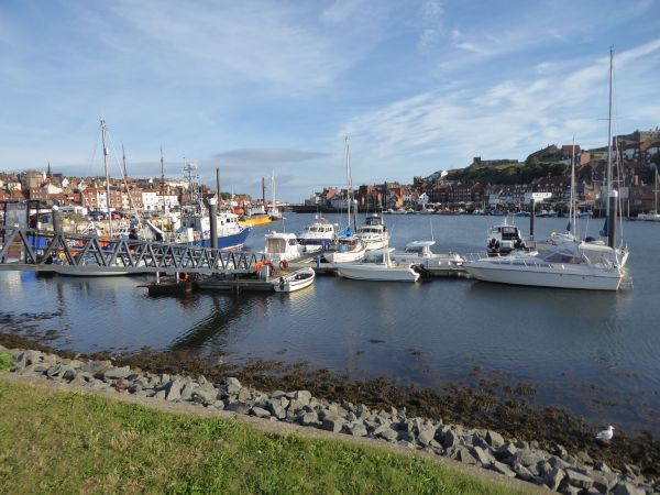 Whitby marina