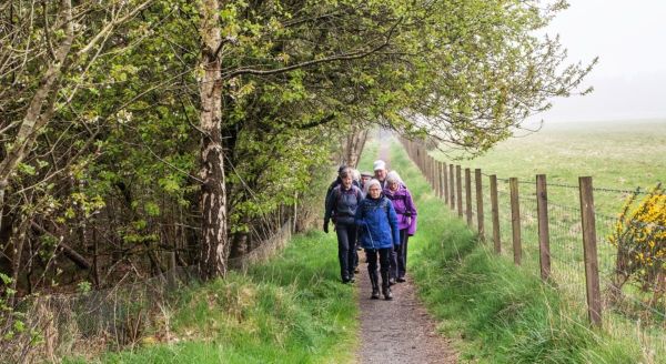 Walkers on path between woodland & field edge