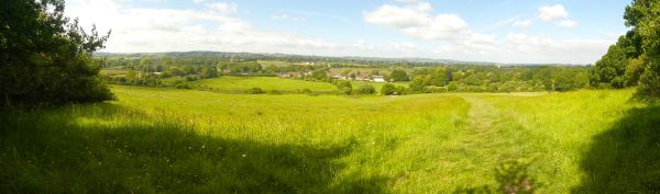 View over green fields