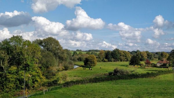 A summer scene over the valley of the River Itchen, with the river hidden amongst. trees