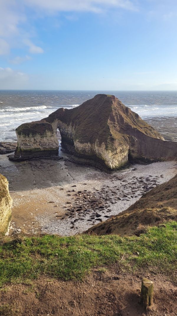 Picture of GYBO Walk at Flamborough
