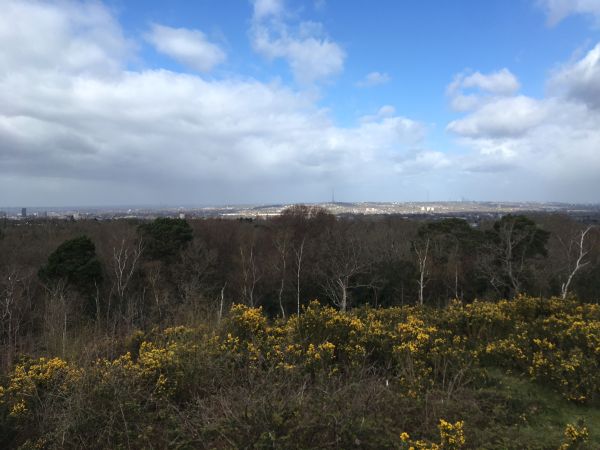 View from Addington Hills