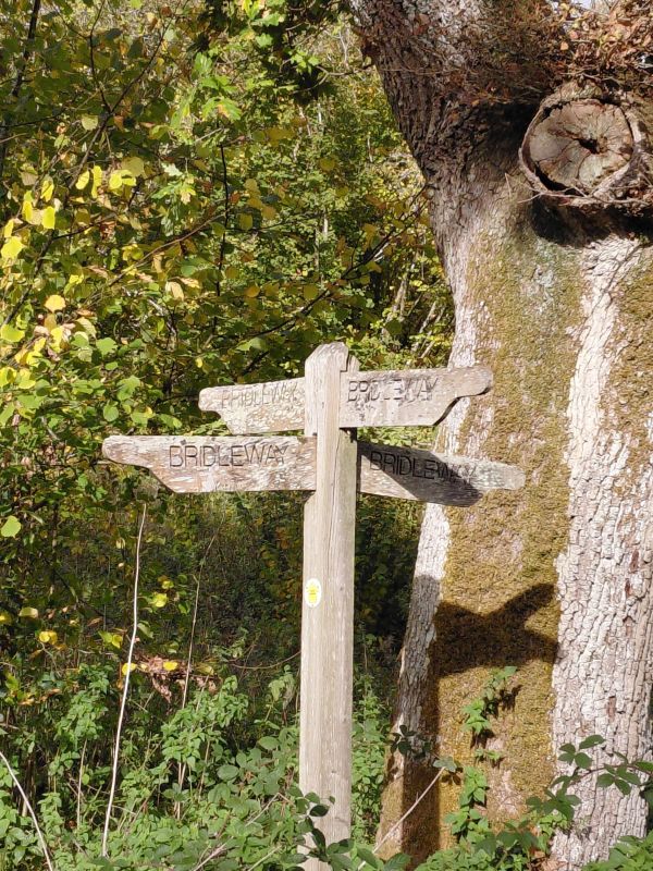 four way finger post