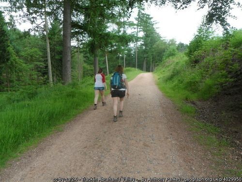Track in Abraham's Valley, Cannock Chase,  Anthony Parkes, used under Creative Commons Licence v2.0