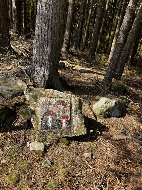 Picture of Crackpots Mosaic Trail 