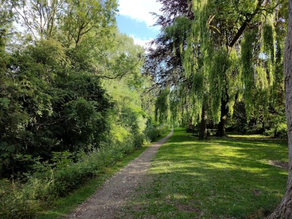 Picture of New Earswick evening walk
