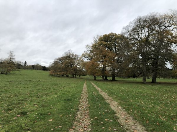 Picture of GYBO (Young Ramblers) Walk : Yorkshire Wolds Way Section 3: Market Weighton - Millington