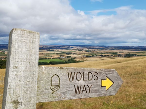 Picture of GYBO (Young Ramblers) Walk : Yorkshire Wolds Way Section 6 - Wintringham to Ganton