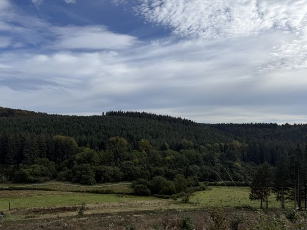 Picture of GYBO (Young Ramblers) Walk : Thornton-le-Dale to Dalby Forest