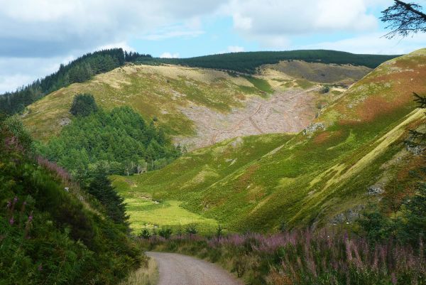 Alwin Valley