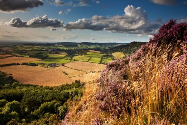 Rolling fields in the North York moors