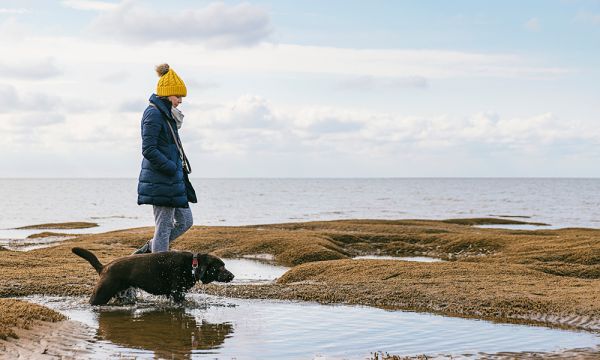 A woman in a bright yellow beanie walks her dog along the beach, through depressions in the sand which have been filled with sea water.