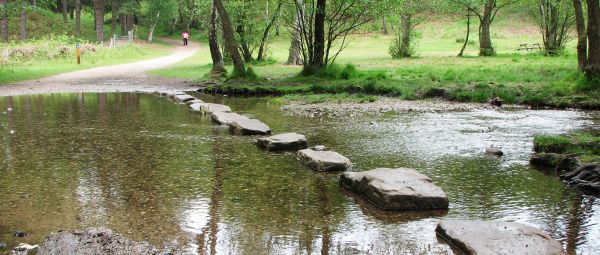 Shallow stream at Stepping Stones near Brocton on Cannock Chase, Staffordshire on sunny summer day with green trees and grass