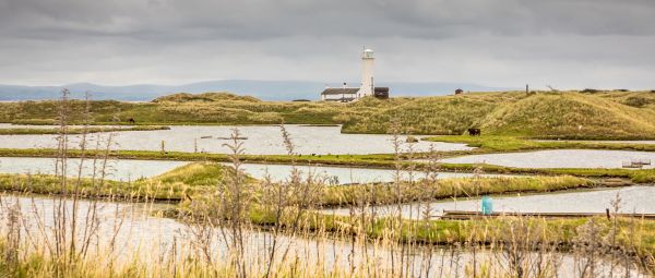 A view of Walney Island Nature Reserve & Lighthouse, Cumbria, England