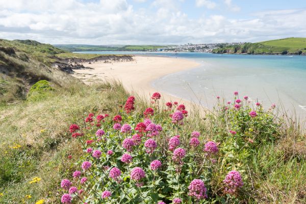 camel trail gentle walk