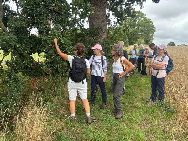 Nature Lessons as well as walking  ! 