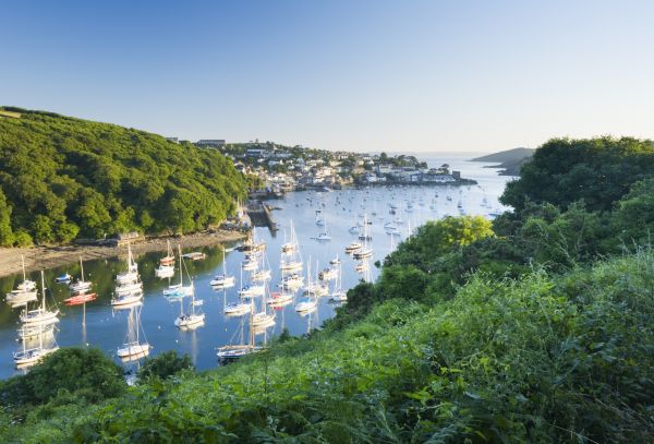 Yachts lie at anchor on the picturesque Fowey River, running between steep, tree-lined banks. 