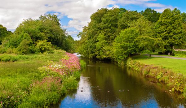 A narrow river runs between two lush, green banks, with reeds and tree branches overhanging the water