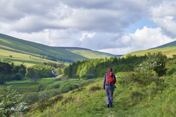 the cheviot route