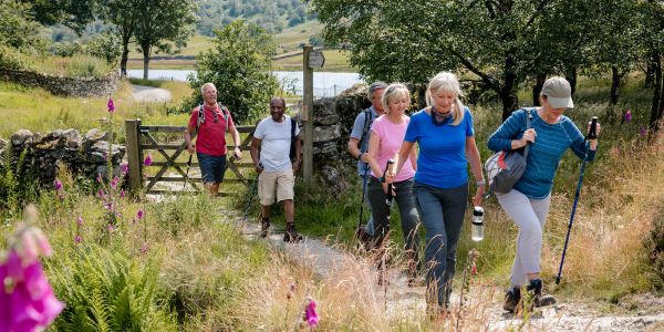 A group of walkers follow a stony, waymarked path, surrounded by long grass, on a summer's day