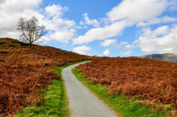 Tarn Hows wheelchair walk