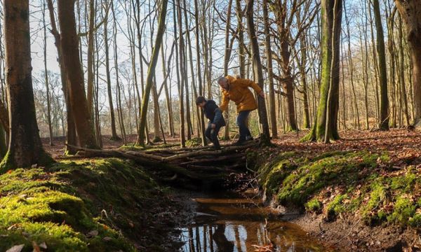 A man and child, holding hands as they cross a stream