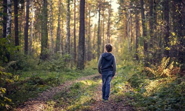 A boy walking alone on a woodland path