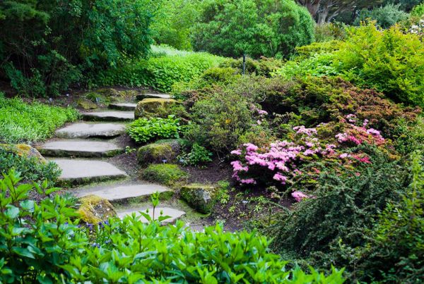 Wide stone steps among lush planting